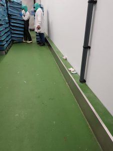 Wall protection 4